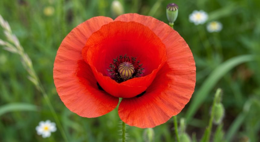 SEC, 디파이 인터페이스 등록 면제 기준 제시…규제 분기점 될까