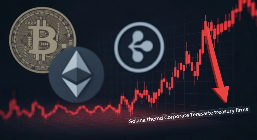솔라나 재무기업, BTC·ETH·XRP보다 더 흔들렸다
