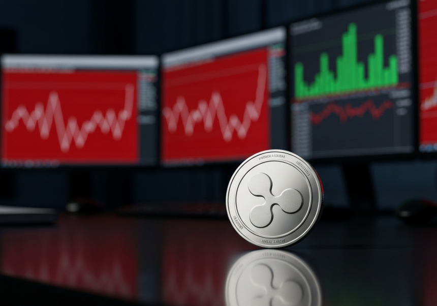 XRP ETF, 약세장에도 순유입 지속…비트코인·이더리움과 대조