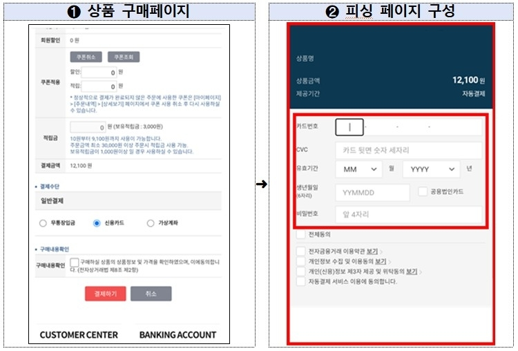 금융감독원, 카드정보 피싱 경고 발령... 소비자 주의 필요