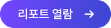 리포트 열람 · 국문